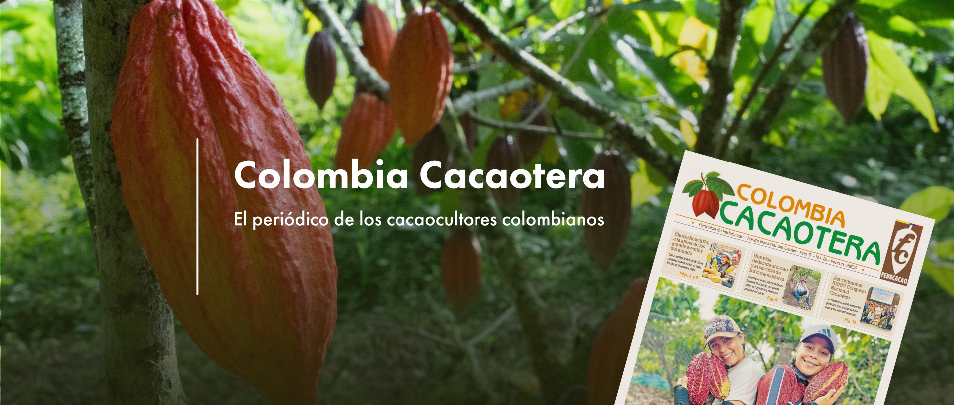 Colombia Cacaotera - El periódico de los cacaocultores colombianos