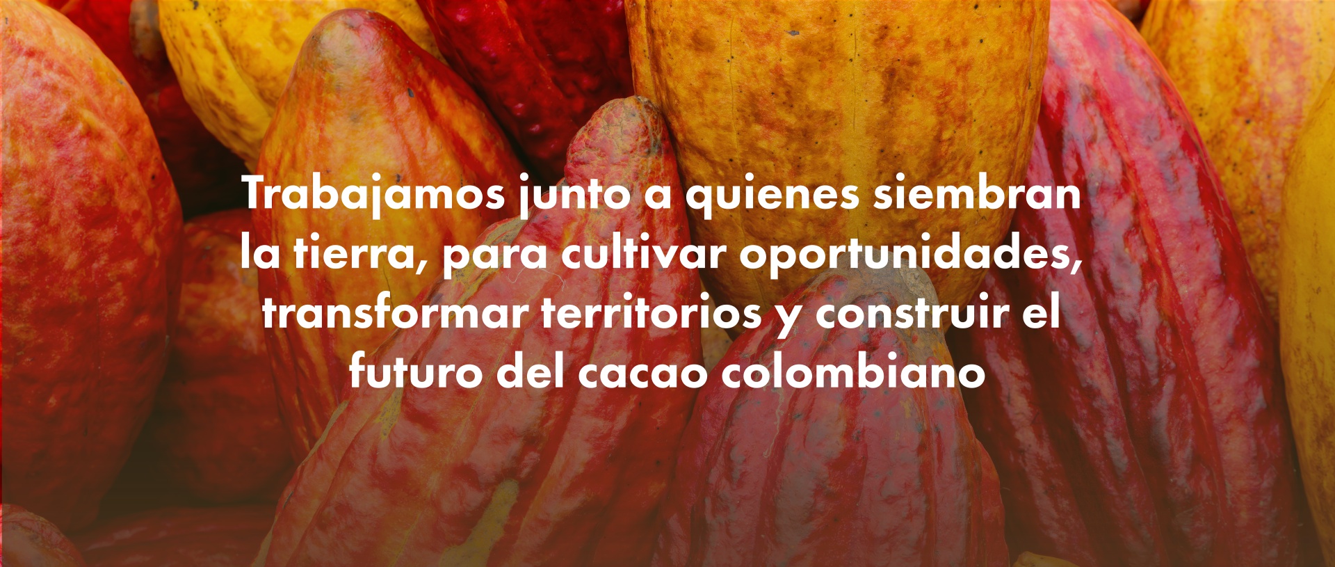 Trabajamos junto a quienes siembran la tierra.