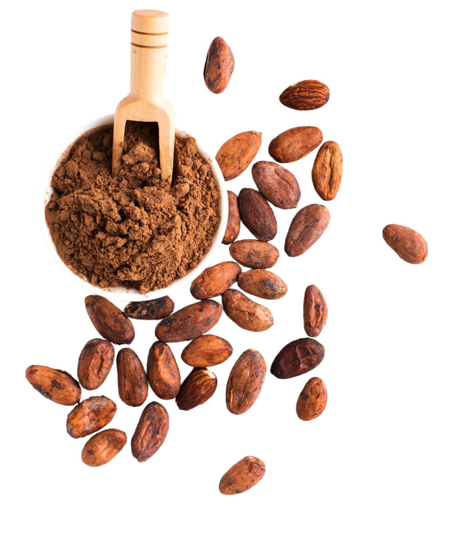 Granos de cacao con cuchara de madera